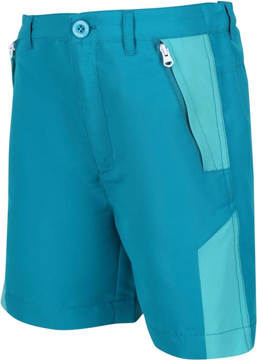 Actual product image Regatta Sorcer Ii Shorts (128)