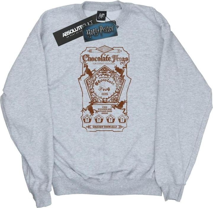 Actual product image Womens/Ladies Chocolate Frogs Mono Label Sweatshirt (S)
