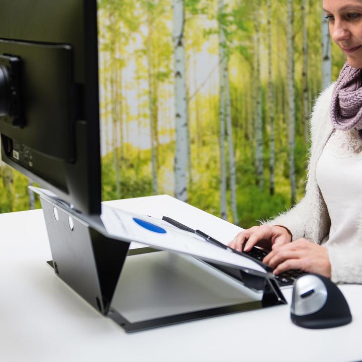 Produktbild R-Go Tools Dokumentenhalter Read2Write