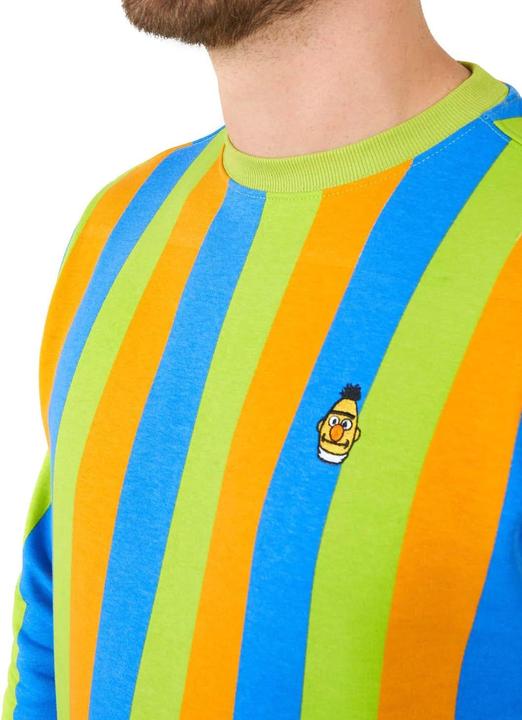 Actual product image OppoSuits – Sesamstrasse Bert Pullover (L)