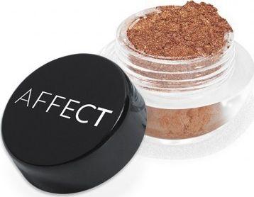 Actual product image Affect CHARMY Pigment Loose Eyeshadow N-0141 2g