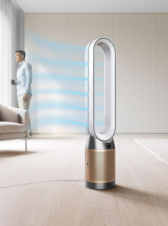 Actual product image Dyson Purifier Cool PC2 De-NOx