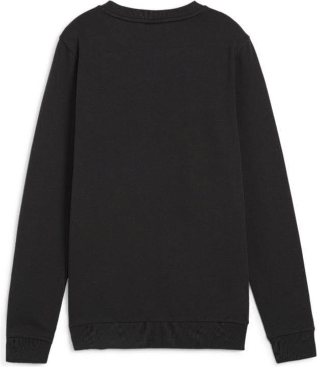 Actual product image Puma teamGOAL Casuals Crew Neck Sweat Wmn (XS)