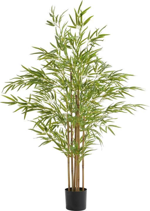 Actual product image tectake Bamboo tree Bambosa (150 cm)