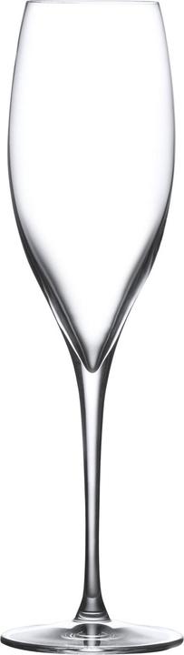 Actual product image Nude Glass Terroir (25.50 cl, 2 Glasses, Champagne glasses)