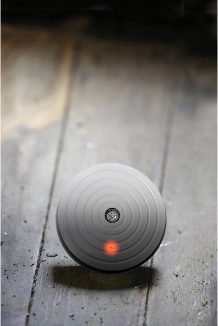 Image du produit Colibri Peur des souris d'intérieur