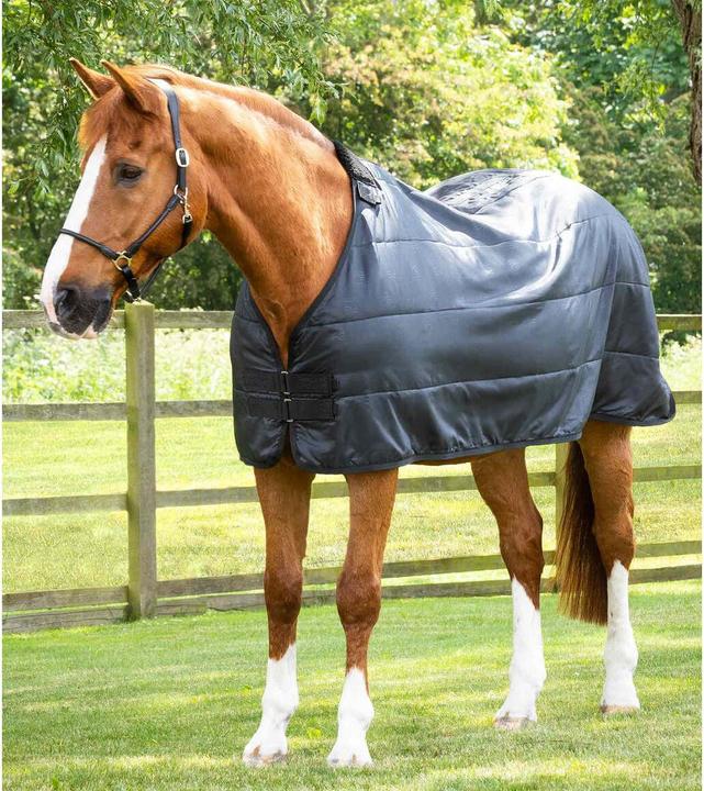 Produktbild Premier Equine 350 g