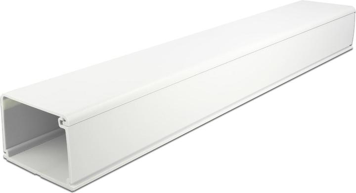 Immagine prodotto Delock Canalina per cavi (Tubazione, 100 cm)