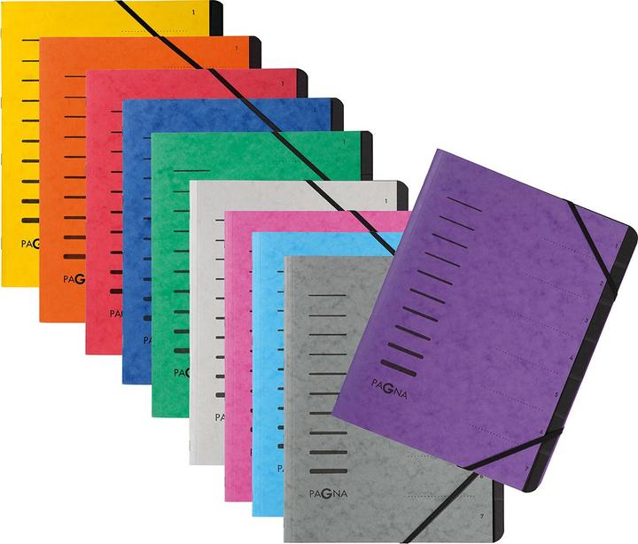 Actual product image Pagna Folder 12 compartments (A4, 1 x)