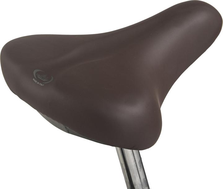 Image du produit Hollandia Vélo hollandais 28" Royal Dutch Singlespeed RH 49 cm (49 cm)