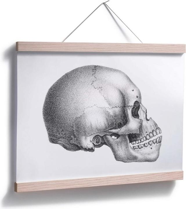 Actual product image Trenddeko Skull 02 (60 x 50 cm)
