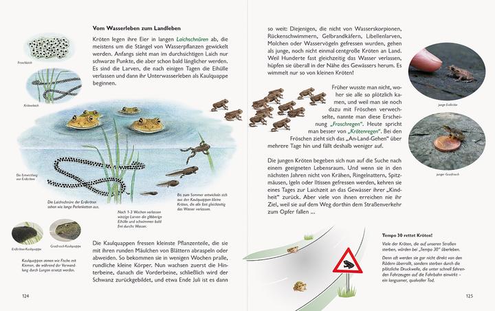 Produktbild Wawra's Naturbuch, Band 1: Säugetiere, Vögel, Reptilien, Amphibien (Deutsch, Johannes Wawra, Ursula Wawra, 2020)