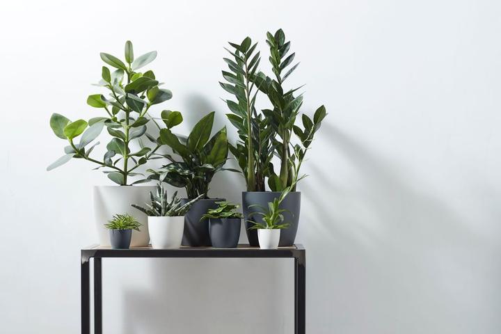 Image du produit Elho Bruxelles (13 cm)