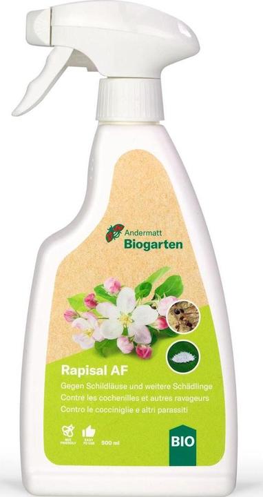 Actual product image Andermatt Biogarten Rapisal AF (Scale insects, Pearleaf Sucker, Red spider mites, Boxwood leaf flea, Thunderbug, Cyclades, White Flies, Aphids)