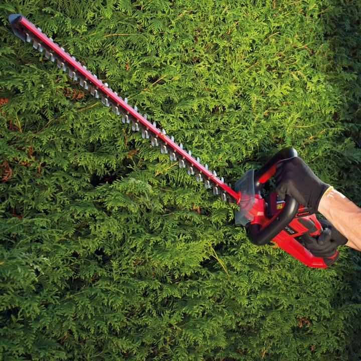 Image du produit Einhell Arcurra (Taille-haies sans fil)