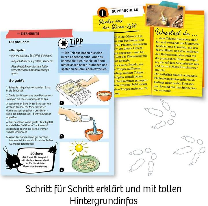 Produktbild Kosmos Fun Science -Triops züchten