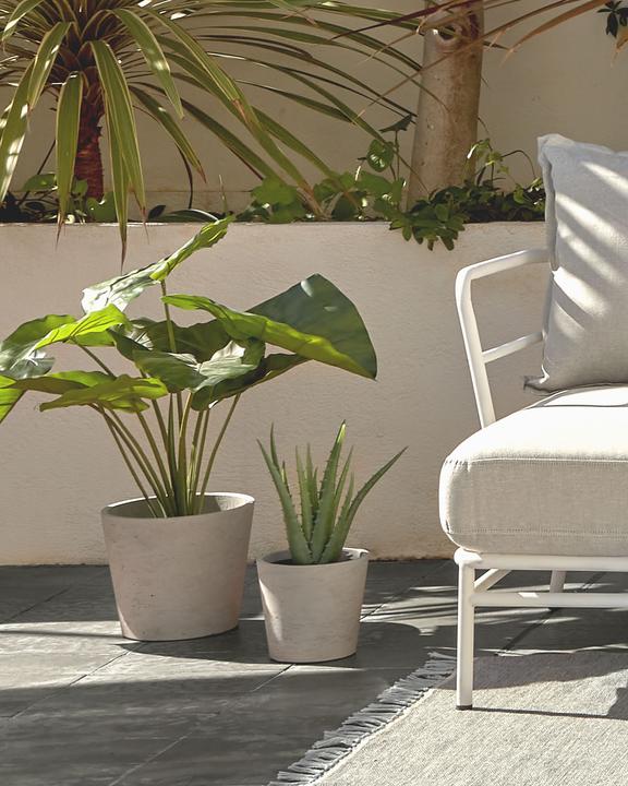 Immagine prodotto Kave Home Alocasia Odora (57 cm)