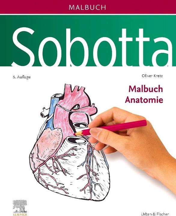 Produktbild Sobotta Malbuch Anatomie
