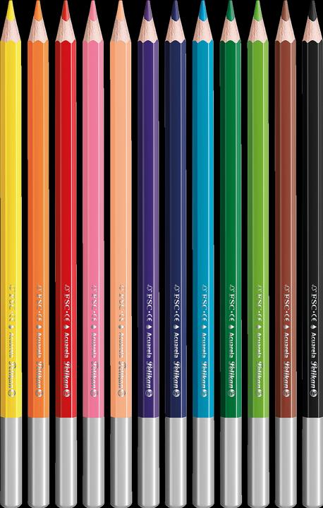 Immagine prodotto Pelikan Pastelli Acquerello ad acqua (Giallo, Pink, Blu chiaro, Verde chiaro, Blu scuro, Arancia, Verde scuro, Viola, Marrone, Rosso, Colore pelle, Nero, 12 x)