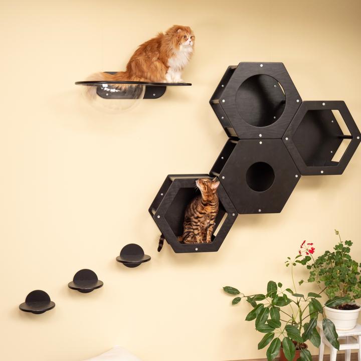 Produktbild Wowhelperco Kletterwand für Katzen 8-teilig (Schwarz)