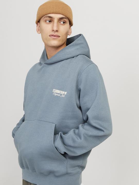 Image du produit Jack & Jones Jorroxbury Back Sweat Hood Ln (M)