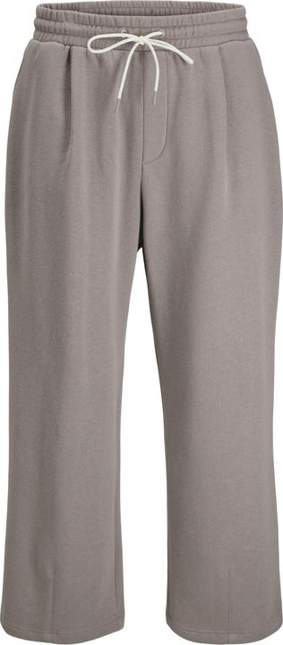 Jack & Jones Jpstowen Jjbrink Pants Styd Aw24 Ln (M)