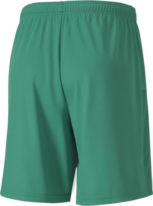 Produktbild Puma teamGOAL 23 knit Shorts-704262 (S)