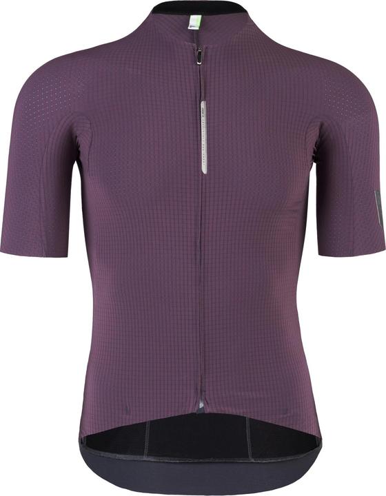 Q 36.5 Jersey SS Pinstripe PRO