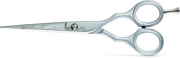 Immagine prodotto Kiepe Lusso 2452-6 Argento (10 cm)