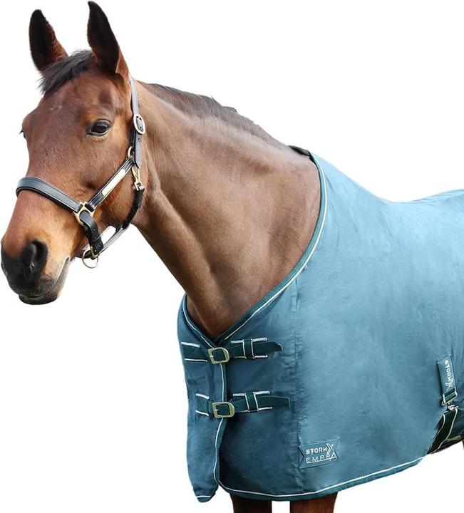 Actual product image Storm X Empra Pima Standard-Neck Horse Summer Sheet (168 cm)