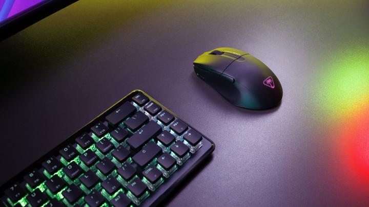 Image du produit Turtle Beach PURE AIR - Gaming Mouse (Sans fil)