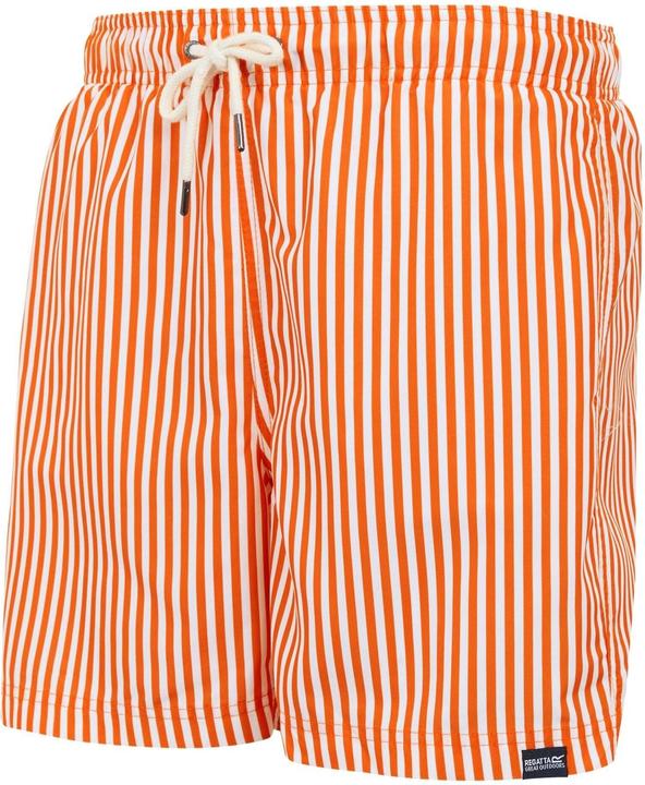 Actual product image Regatta Mens Loras Stripe Swim Shorts (S)