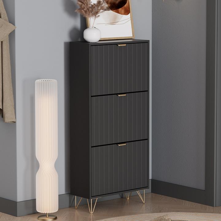 Immagine prodotto Vichy Schuhschrank Helge, Schwarz, 60 x 128.5 cm 3 Fächer