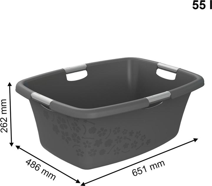Image du produit Rotho Fleurs (50 l)