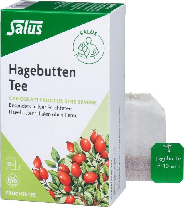 Actual product image Salus Rosehip Fruit Tea, 15 pcs. Filter bag (45 g)