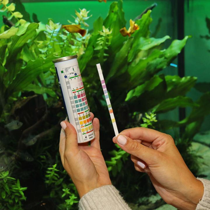 Image du produit JBL Aquaristik und Terraristik EasyTest 7 en 1 (Entretien de l'eau de l'aquarium)