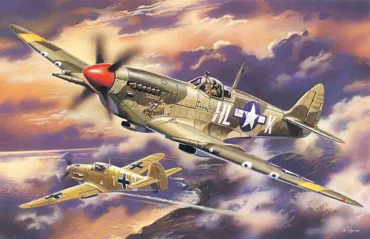 Actual product image ICM Supermarine Spitfire Mk. VIII