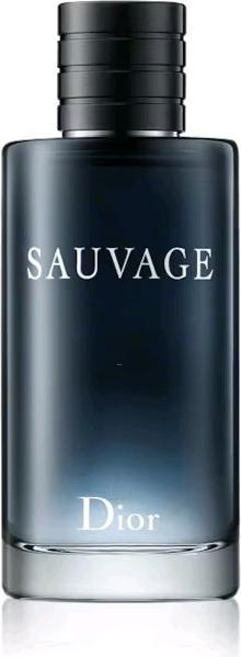 Image du produit Dior Eau Sauvage (Eau de toilette, 100 ml)