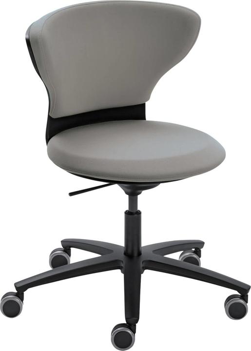 Actual product image Sedus turn around Padded seat Padded backrest