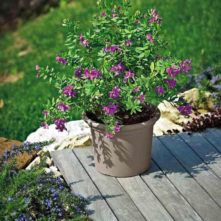 Actual product image Euro3plast Planter (40 cm)