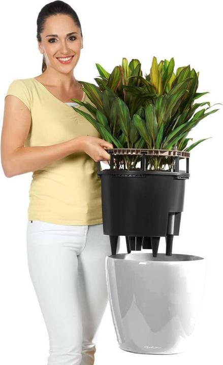 Immagine prodotto Lechuza Classico (36 cm)