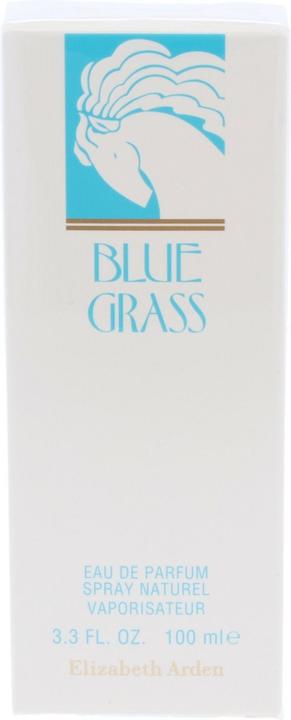 Immagine prodotto Elizabeth Arden Erba blu (Eau de parfum, 100 ml)