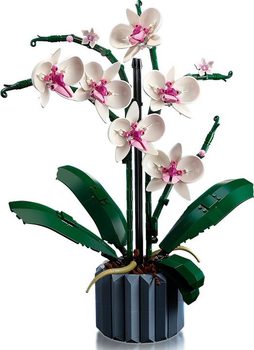 Image du produit LEGO Orchidée (10311, LEGO Botanical)