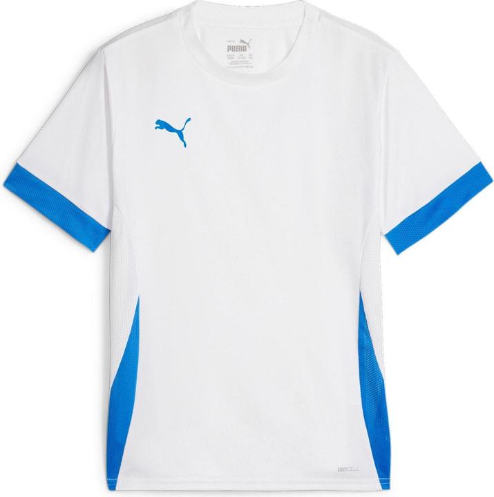 Actual product image Puma teamGOAL Matchday Jersey jr (164)