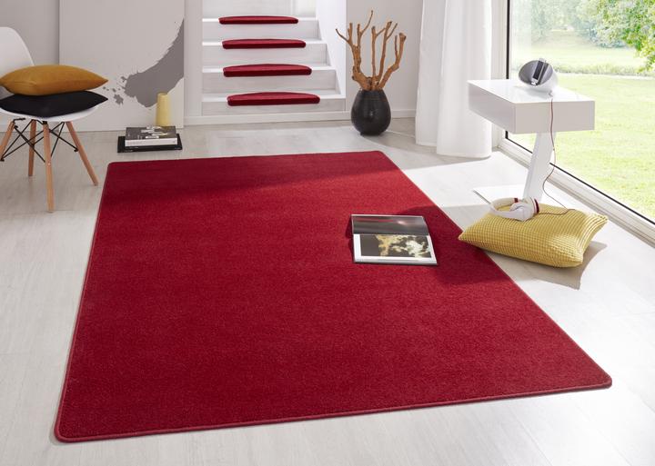 Immagine prodotto Hanse Home Fantasia (195 x 133 cm)