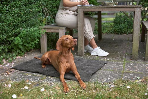 Actual product image Palopa Dog mat Alma anthracite M-L (Dog)