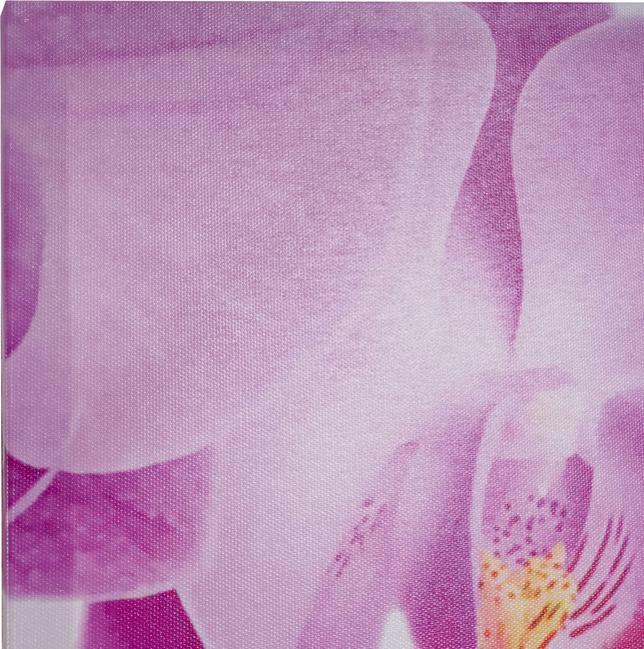 Produktbild Swisshandel24 Leinwandbild, Wandbild Keilrahmenbild Kunstdruck, 3-teilig 150x50cm - Obst (150 x 50 cm)