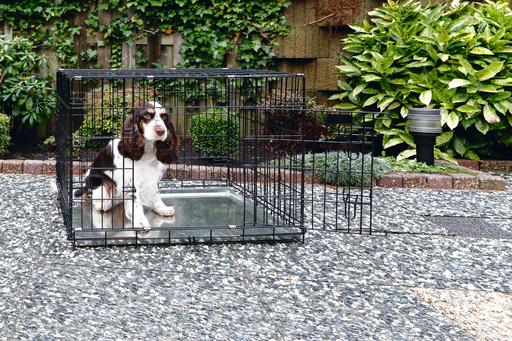 Produktbild Beeztees Hundebox Schwarz (Hund, Faltbar)
