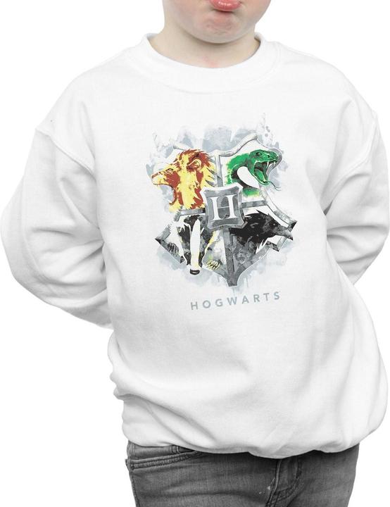 Actual product image Boys Hogwarts Painted Crest Sweatshirt (152, 158)