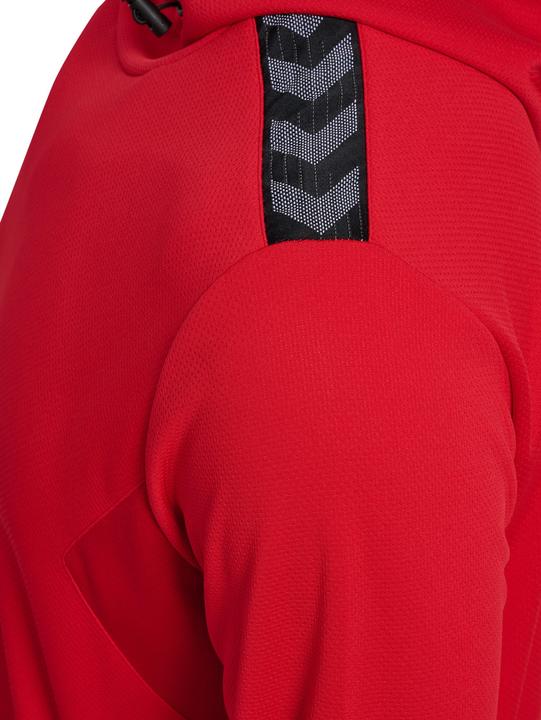 Actual product image hummel Hmlauthentic Pl Hoodie (M)